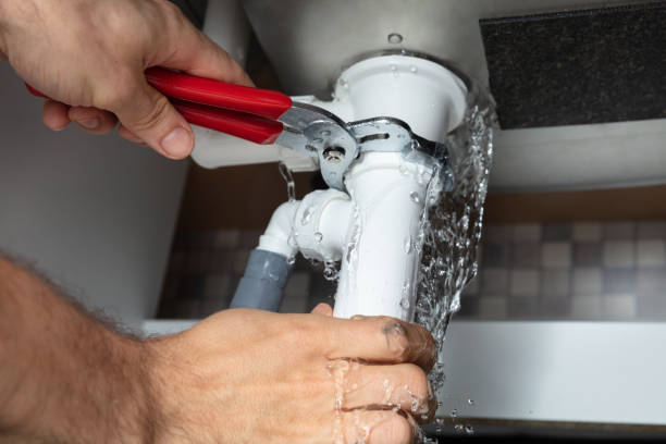 Best Flood damage cleanup  in Taylorsville, UT