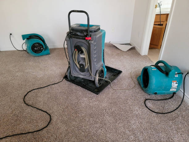 Best Water damage restoration process  in Taylorsville, UT