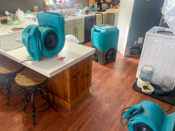 Best 24-hour water damage restoration  in Taylorsville, UT