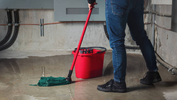 Best Water damage cleanup near me  in Taylorsville, UT