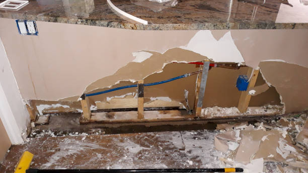 Best 24/7 water damage repair  in Taylorsville, UT