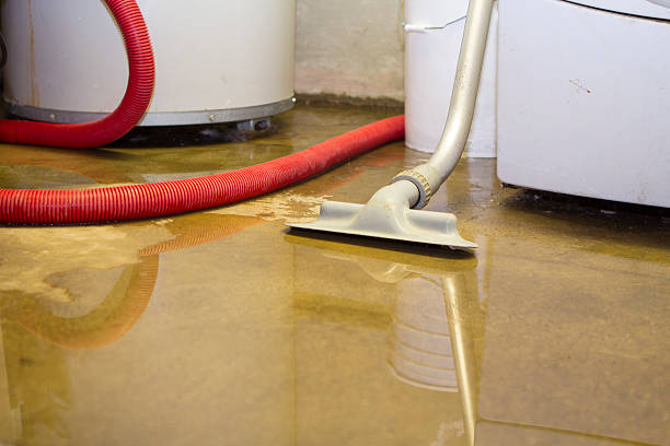 Best Flood damage cleanup  in Taylorsville, UT