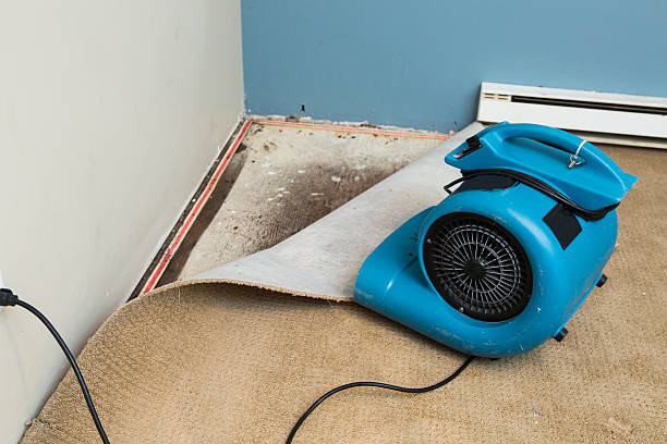 Best Commercial water damage restoration  in Taylorsville, UT